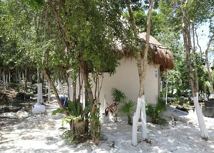 Beautiful House With A Private Pool Holiday home Puerto Morelos
