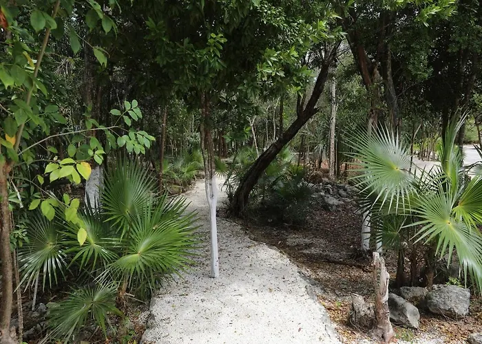 Beautiful House With A Private Pool Puerto Morelos