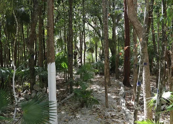 Holiday home Beautiful House With A Private Pool Puerto Morelos