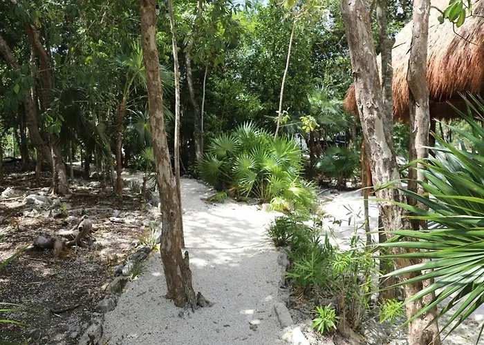 Beautiful House With A Private Pool Puerto Morelos